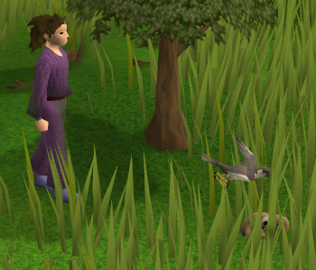 FishingResource's profile picture. Sportsmanslife: Hunting & Fishing Magazine