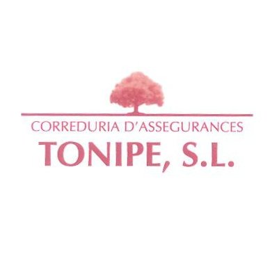 Desde nuestros inicios Tonipe siempre ha estado a su disposición, atendiendo con amabilidad y profesionalidad. Le aconsejamos y ofrecemos el mejor seguro.