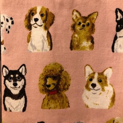無理があれば飼わない選択も愛情 Pinawanwan Twitter 無理があれば飼わない選択も愛情 Pinawanwan Twitter