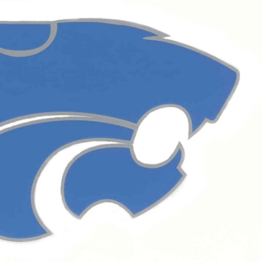 Wildcats_2022's profile picture. Sponsors: Ms. Heberer "Hebs" and Mrs. Miller "VT"