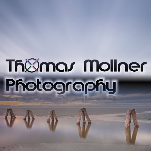 Thomas Mollner