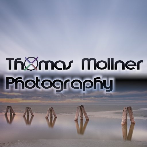 ThomasMollner's profile picture. 