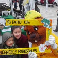 Prev.IncendiosConafValparaiso (@previncendiosc1) 's Twitter Profile