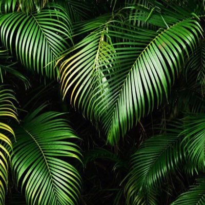 ycobas_03's profile picture. 