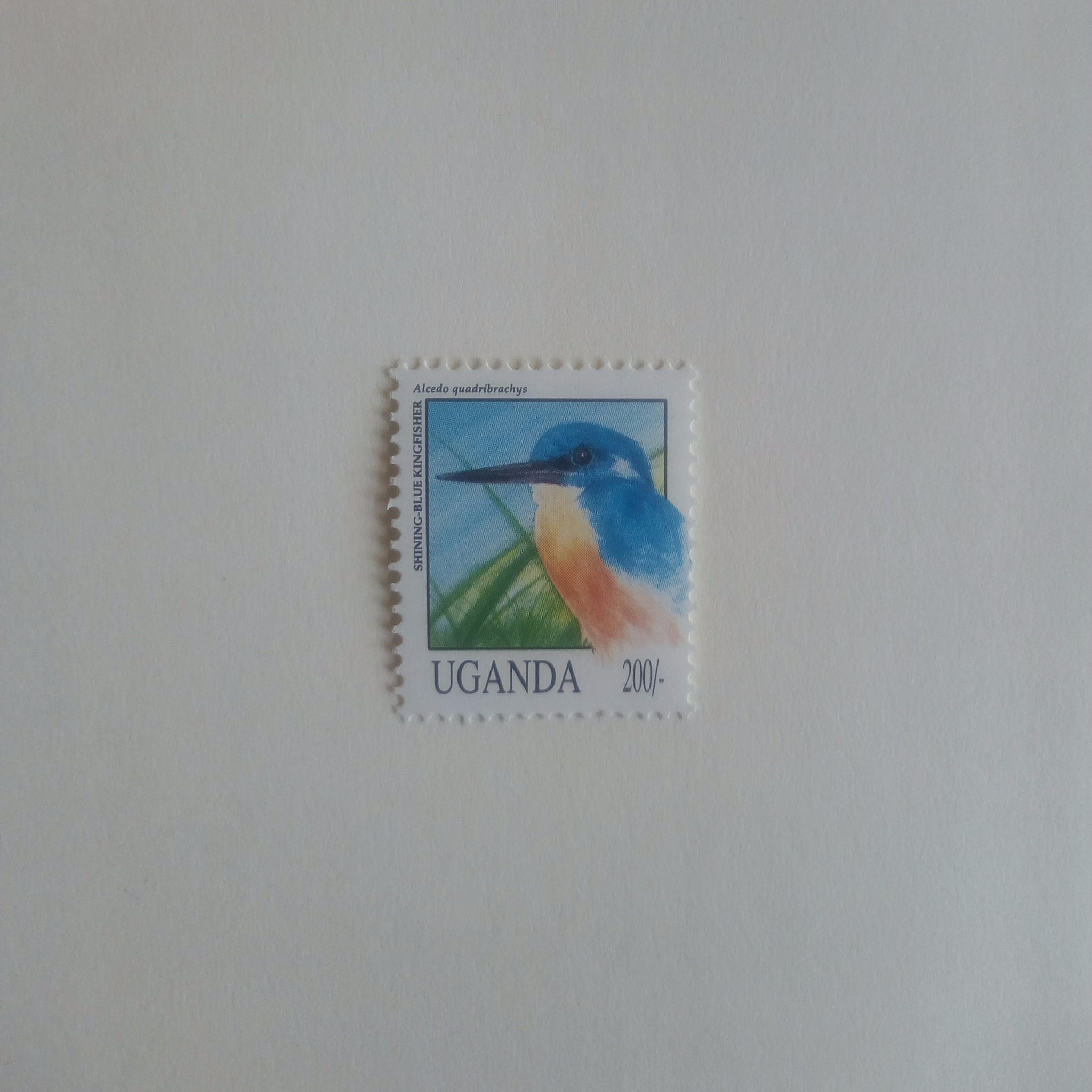 Malucufo Community Museum’s philatelic collection.