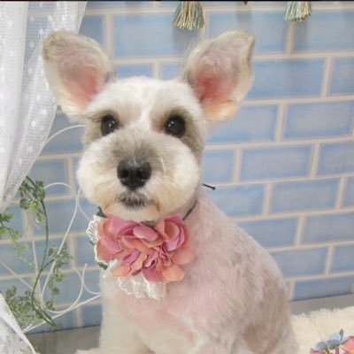 kiri_bass's profile picture. 趣味は写真とBASSです。 適当にアップしてきますのでよろしくお願いします。