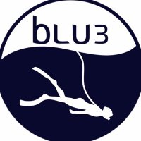 BLU3(@diveblu3) 's Twitter Profile Photo