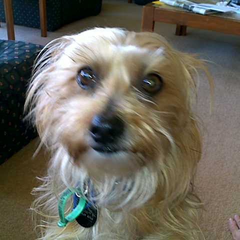 wobbs51's profile picture. Owner, manager, fabricator, car builder, book keeper, floor sweeper at Ti Bolts and Race Partz.
Former Midget Car Crew Chief