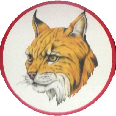@wildcatslhe
