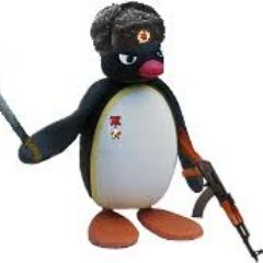 Comrade Pingu 🇵🇸🇨🇺