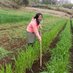 Annie Sheng (@anniesheng1) Twitter profile photo Annie Sheng (@anniesheng1) Twitter profile photo