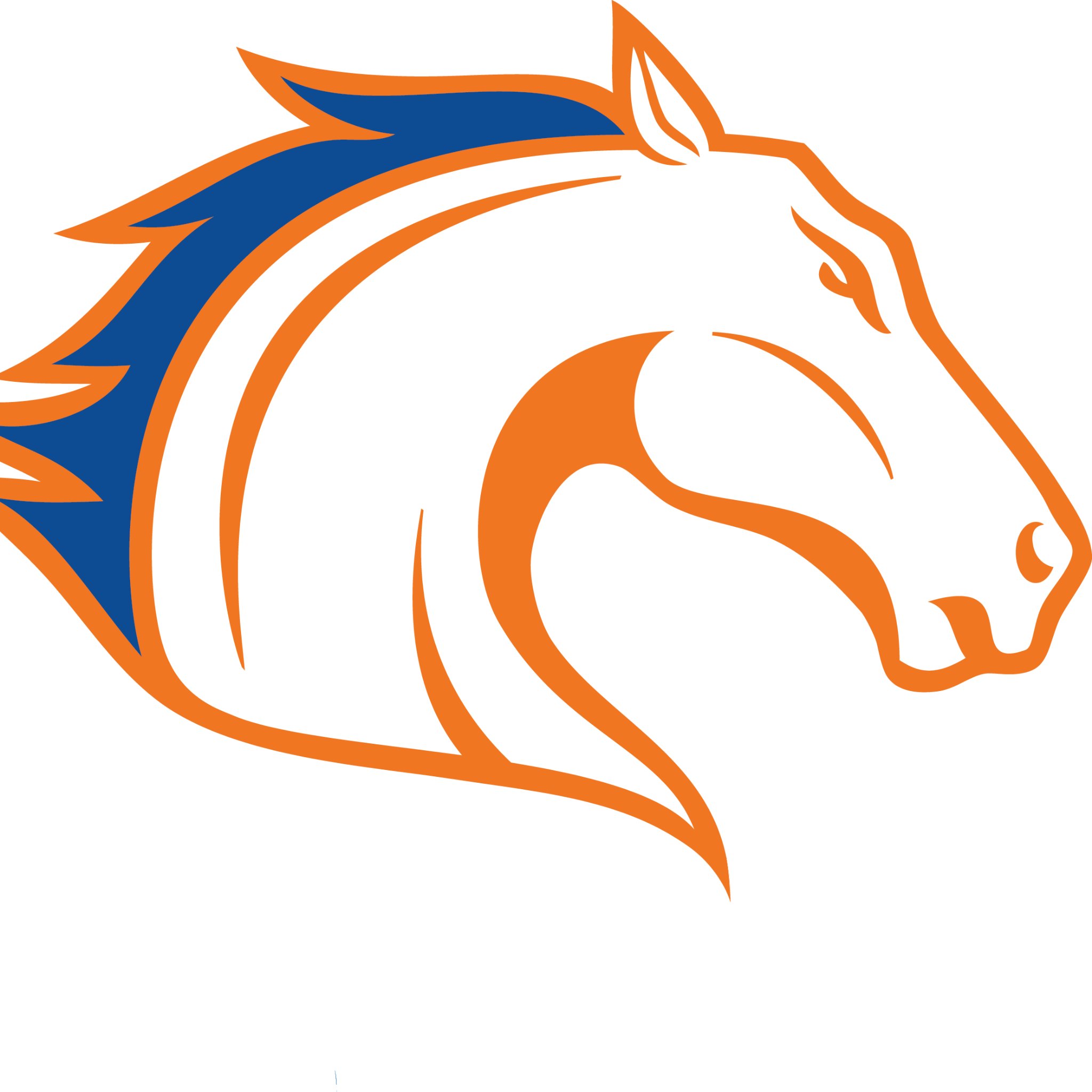 The Exclusive Multimedia and Marketing Rights Holder of UT Arlington Athletics. Helping DFW businesses grow through the loyalty and excitement of UTA Fans.