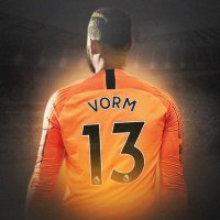 Michel Vorm (@vorm_official) 's Twitter Profile