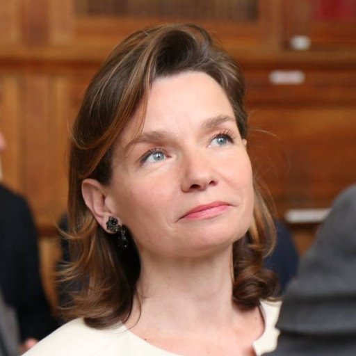 Diplomate. En mission à l’Institut de l’Engagement @i_engagement Compte personnel @aurelieroyetgounin.bsky.social
