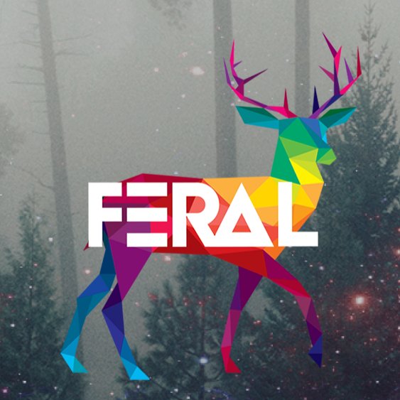 FeralContent's profile picture. Feral Content es un atelier que ofrece outsourcing de contenido digital para blogs, sitios web, redes sociales, además de estrategias de Marketing Digital