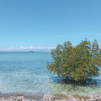 artARTTRAtra's profile picture. 素敵な絵をRTしていきます。
フォロバ100%です！
RT希望の方はリプライまたはDMをいただければRT致します。