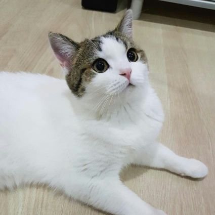 JSF72809512's profile picture. hi?