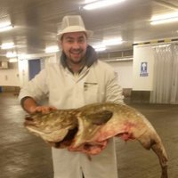 Dennis Kennedy - @seafoodskills Twitter Profile Photo