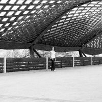 Maryanne Wachter mclare.bsky.social (@eng_mclare) 's Twitter Profile