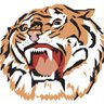 GoTigersTHS's profile picture. Official Twitter Account of Tenafly High School Athletics