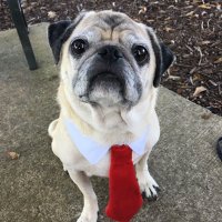 James A. Avila (@jaavila0918) 's Twitter Profile