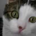 Deanna Benbrook - @Godistigger - Twitter