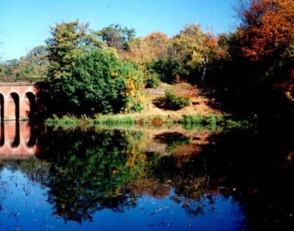 Clean_Hampstead's profile picture. 