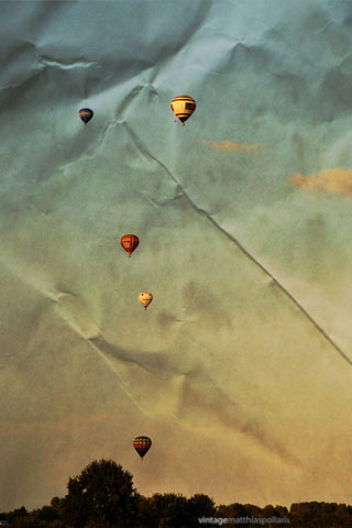 yjun1401's profile picture. 