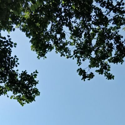 laitalinkki's profile picture. 