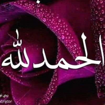 smmhh8's profile picture. ‏اللهم سهِّل لي حوائجي كما تُحب أنت لا كما أحب أنا، فأنت تعلم ولا أعلم وتقدِر ولا أقدِر، اللهم قدِّر لي الخير حيث كان ثم إرضني فيه