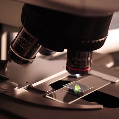 msscience10's profile picture. Dad, husband, and educator trying to get better each day. Interested in 21st Century middle school science instruction.