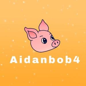 Aidanbob4A's profile picture. I personally love burritos