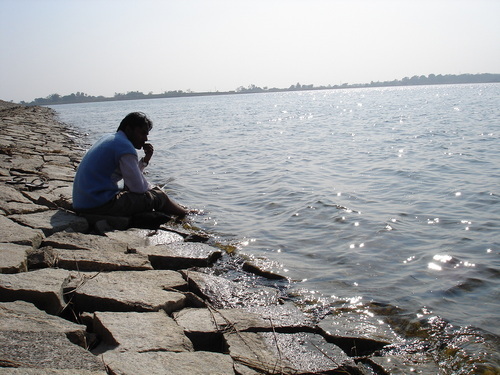 Assistant professor 
Department of Zoology
SVP College, Bhabua