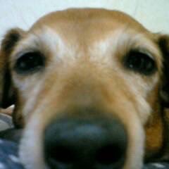 6rLFYsUxtoWnmIu's profile picture. 