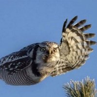 Bob (@selfrecovery48) 's Twitter Profile