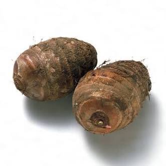 satoimoco_imo's profile picture. 矯正・整形・美容 自信を持ちたい。【整形】目の下の脂肪再配置 ３月下瞼の逆さ睫毛手術  【矯正】下顎後退・開咬・口ゴボ　矯正のみ