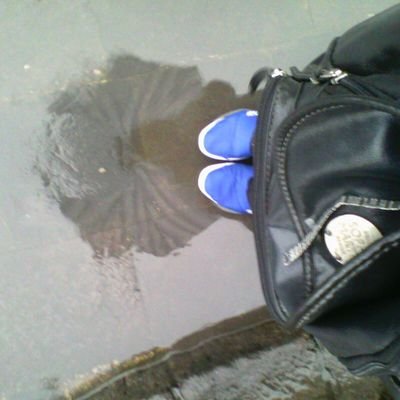 novinolasari's profile picture. 