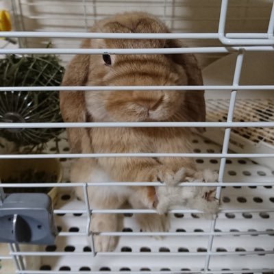 おっさんさんのプロフィール画像