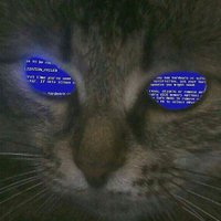 Aaron Shuff (@shuff_bomb) 's Twitter Profile