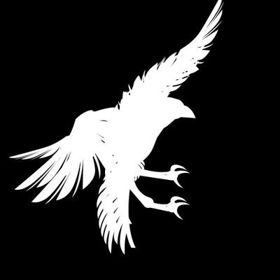 White Raven is a large scale competitive battlefield team in HardcoreLeague. we solely focus on teamwork and a family vibe to our clan come join us in the fight