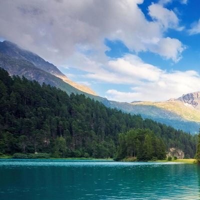 AxelSkeat's profile picture. OFF