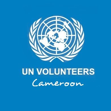 L'inspiration en action au Cameroun, avec le programme des Volontaires des Nations Unies (VNU).