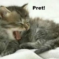 angry by default (@ieva_w) 's Twitter Profile