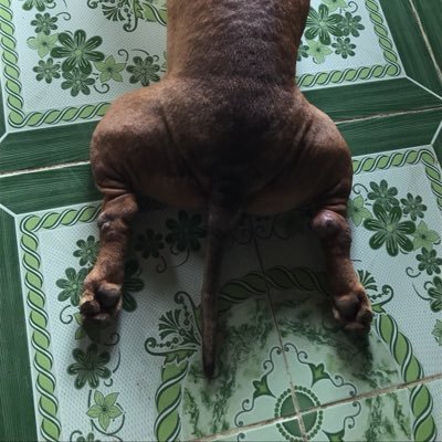 since1988hase's profile picture. Remixer, DJ, Live addicted