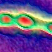 Acid Fast Club (@acidfastclub) 's Twitter Profile