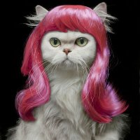 Princezz (@princezz331) 's Twitter Profile