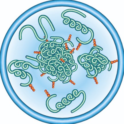 The ALBORADA Drug Discovery Institute Profile