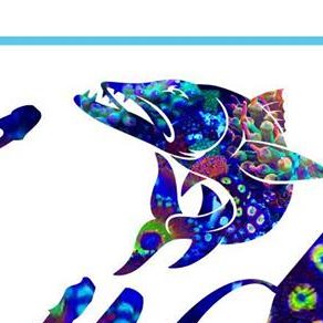 CudaCorals's profile picture. 