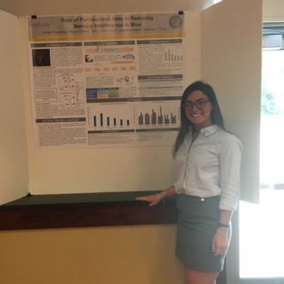 vxm343's profile picture. Biomedical Engineering Major at the University of Miami 2021 🙌