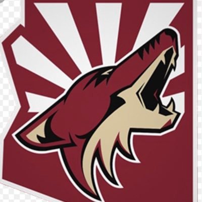 Unofficial Twitter for the Arizona Coyotes - run by Casey Lessmann a COMM 2074 student- Virginia Tech intro to Sports Media